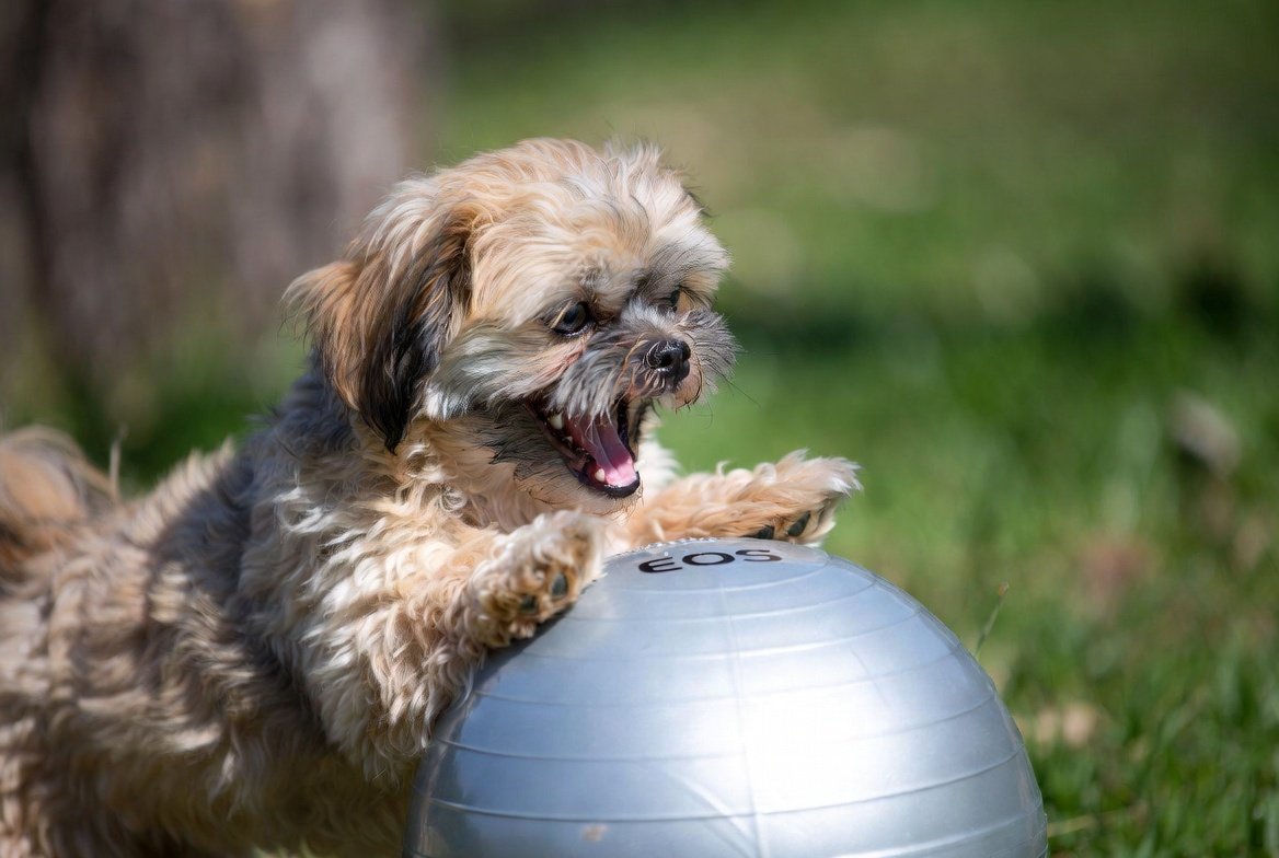 코인 파워볼 5분 실시간 전략 분석 — 코인파워볼 사이트 선택 기준과 승률 상승 비법